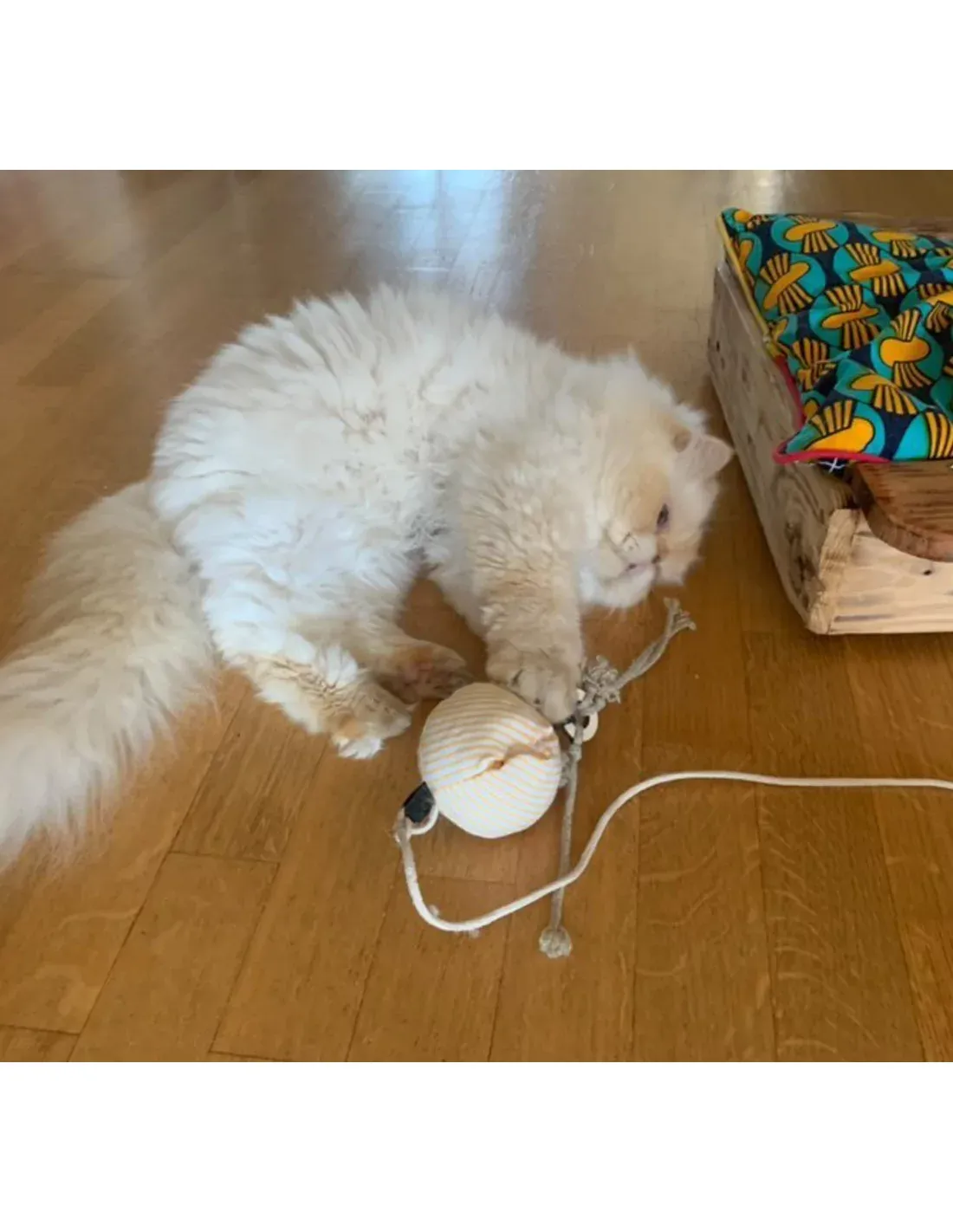 Jouet canne pour chat aux herbes bio françaises – Petits Fripons – Image 6