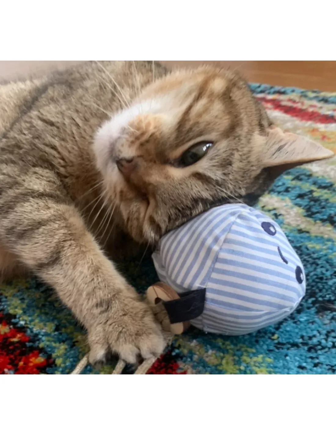 Jouet canne pour chat aux herbes bio françaises – Petits Fripons – Image 8