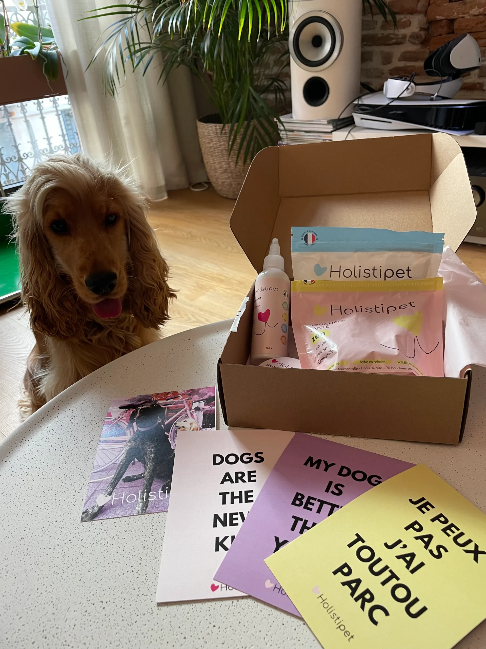 Bouchées santé naturelles peau apaisée et pelage brillant pour chien – Holistipet – Image 3