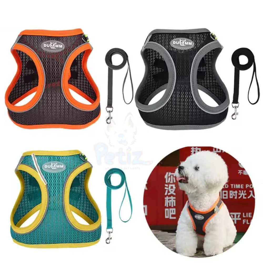 Ensemble Harnais et Laisse pour Petit Chien – Gilet Réglable Respirant pour Chiot, Chat, Bouledogue Français, Carlin, Chihuahua – Marche en Plein Air – Image 2