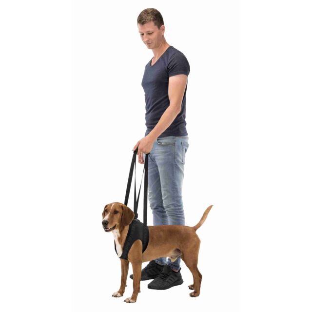 Harnais d’aide à la marche chien – Image 3