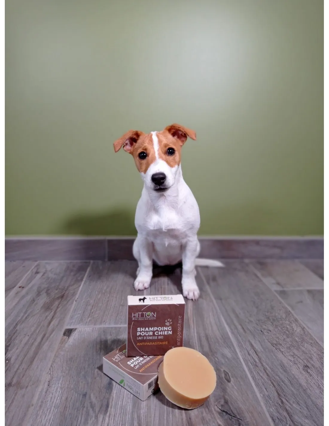 Shampoing chien anti-parasitaire au lait d’ânesse bio – Scraps Gourmet – Image 2